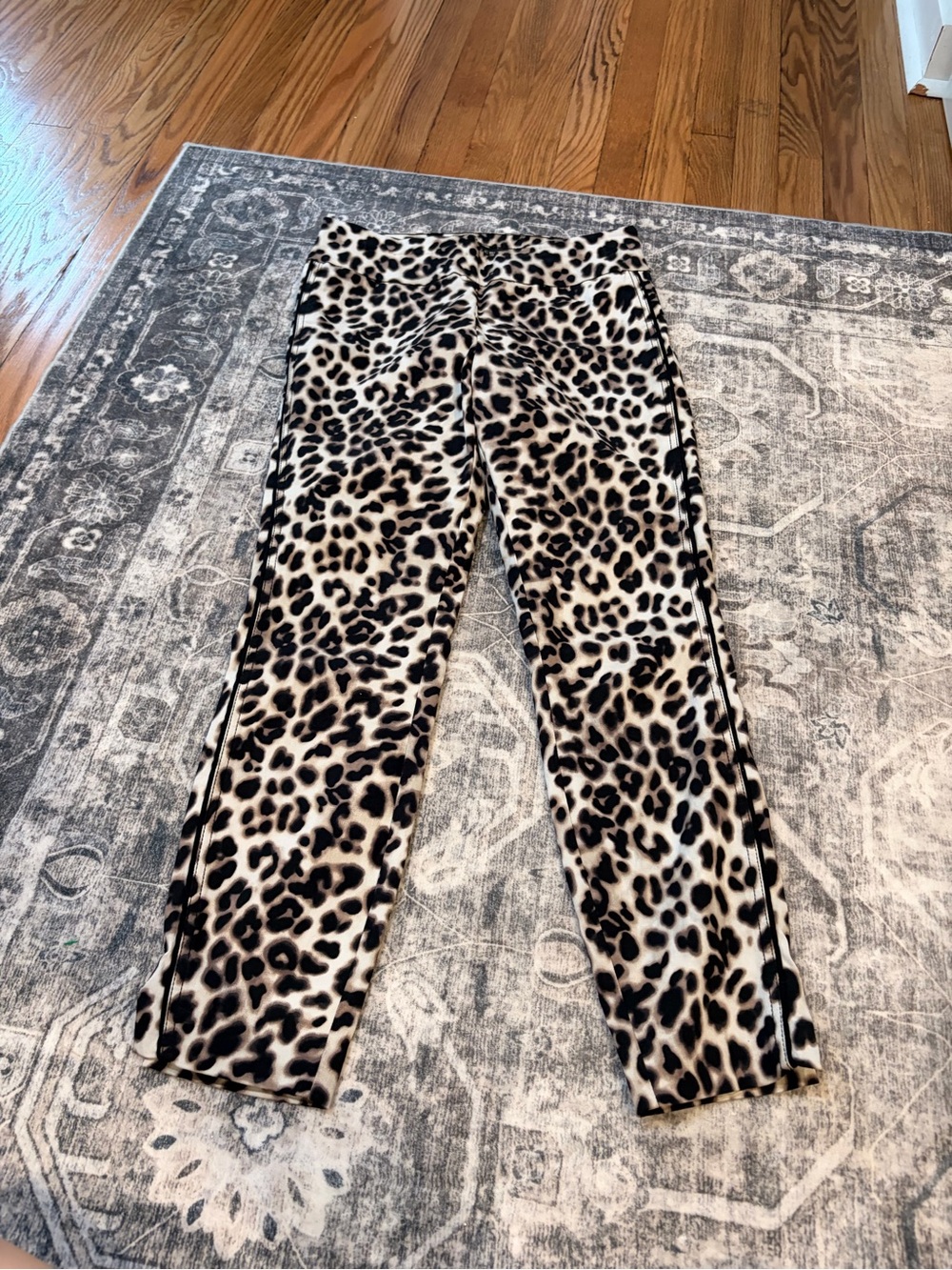 Leopard Print Straight Leg Pull-On Pants - Black and Cream